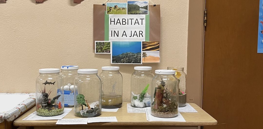 Habitat in a Jar